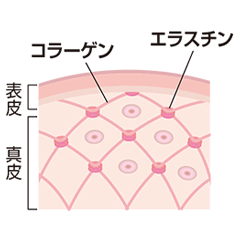 collagen-image