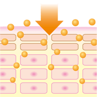 five-kinds-of-vitamins-image