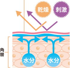 ripijua-image