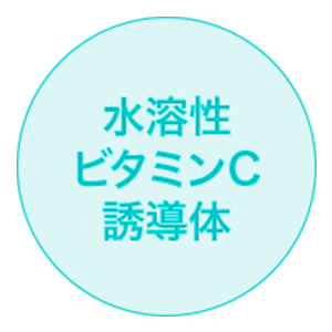 水溶性ビタミンC誘導体-image