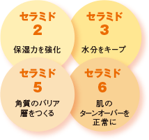 4種のセラミド