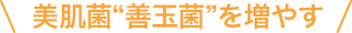 美肌菌“善玉菌”を増やす