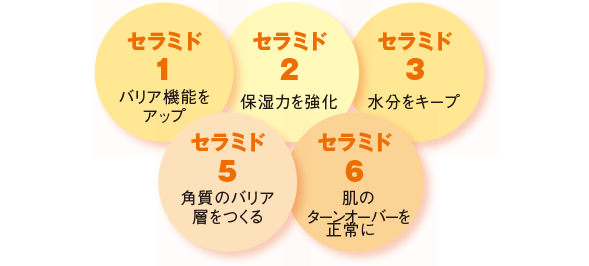 5種のセラミド