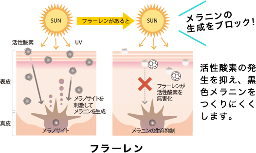 シミのもとにアプローチ